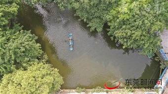 東莞深入推進水污染治理攻堅戰，碧水清流重現莞邑